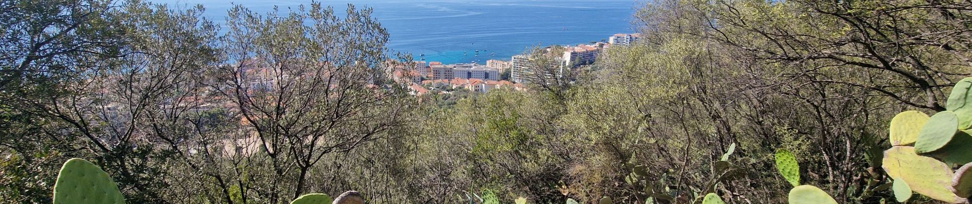 Randonnée A pied Ajaccio - Sentier des Crêtes Ajaccio et Grotte N - Photo