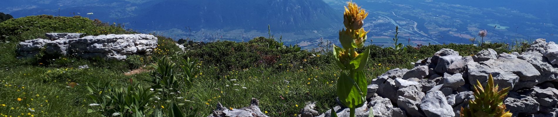 Excursión Senderismo Entremont-le-Vieux - Le Granier par le pas des Barres, retour par la Balme à Colomb - Photo