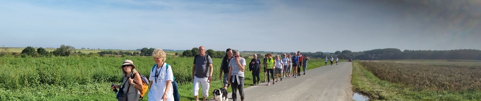 Tour Wandern Mesnil-Saint-Nicaise - randonnée de la fête du sport  - Photo