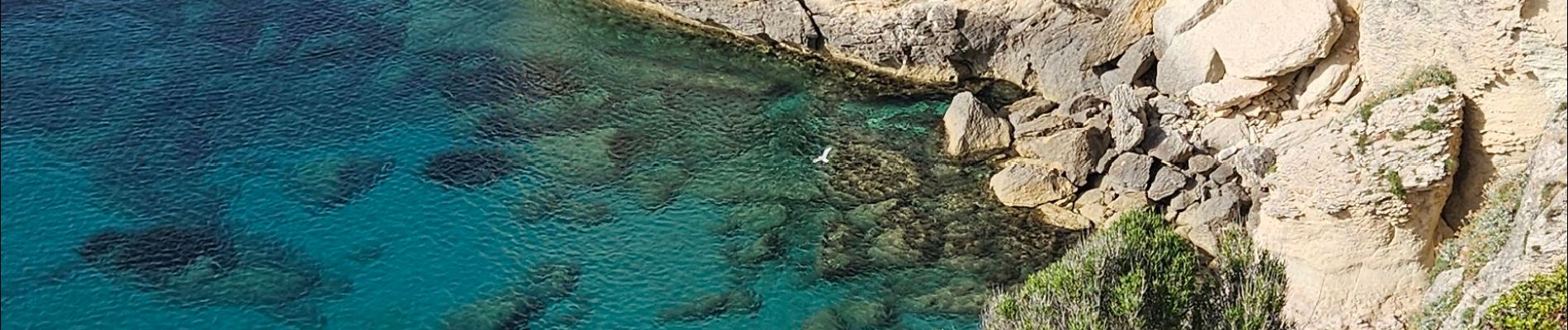 Tour Wandern Saint-Florent - sentier vecchiaia - Photo