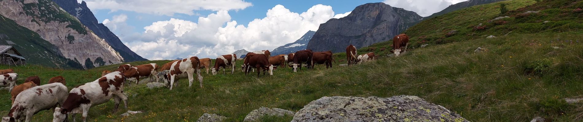 Percorso Marcia Pralognan-la-Vanoise - Montaimont par la vallée des Nants  - Photo