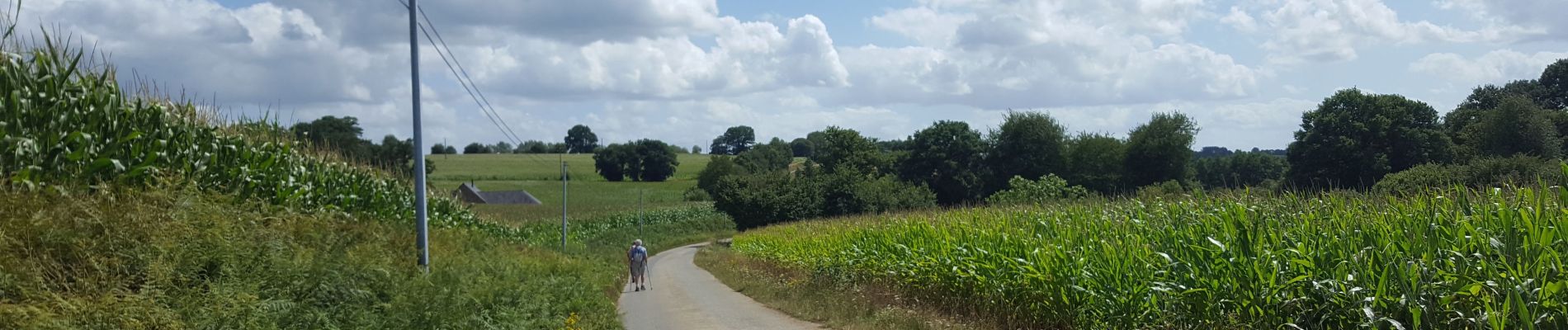 Tocht Wegfiets Montenay - 10 août 2019 montenay  22°c - Photo