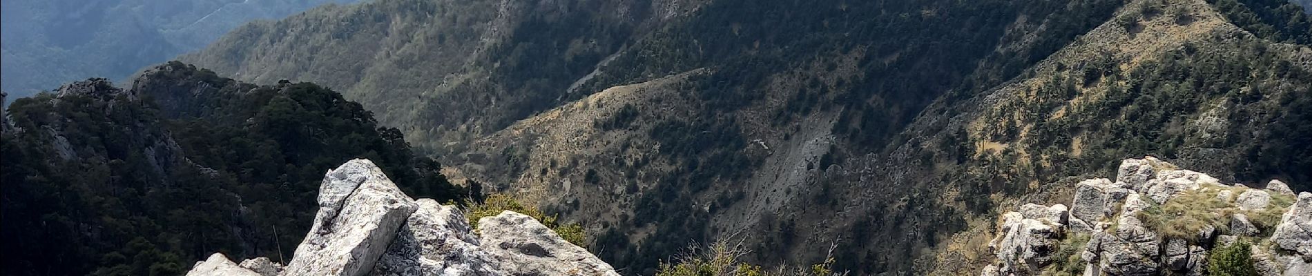 Tocht Stappen Utelle - Le Brec d'Utelle 1604m 19-04-22 - Photo