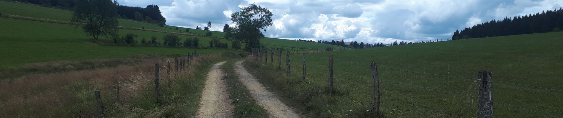 Randonnée Marche Butgenbach - Butchenbach - Bullingen - Photo