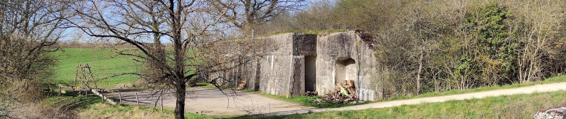 Excursión Senderismo Villey-Saint-Étienne - FORT DU VIEUX CANTON ET SES ENVIRONS - Photo