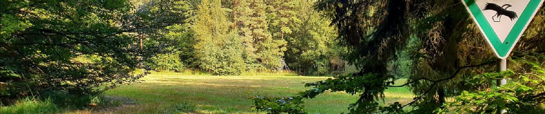 Randonnée A pied Knetzgau - Rundwanderweg Knetzgau K 5 - Photo