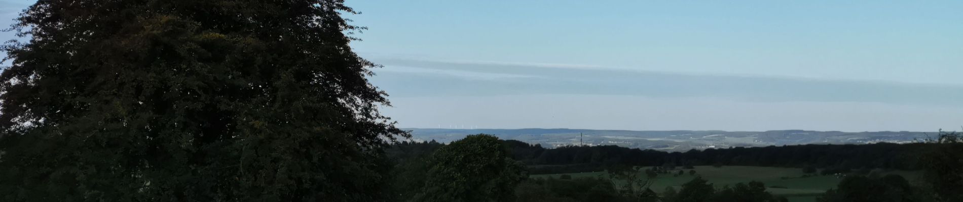 Tocht Stappen Durbuy - WERIS ...  et ses Mégalithes. - Photo