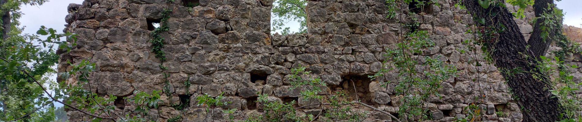 Trail Walking Callian - Callian, ruines de Velnasque - Photo