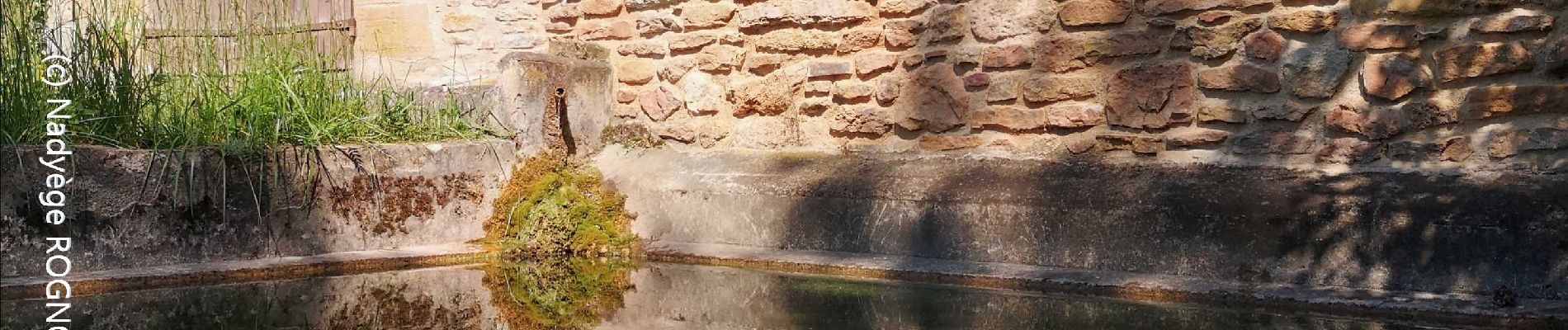 Point d'intérêt Val d'Oingt - Lavoir du Paradis - Saint-Laurent d'Oingt - Photo