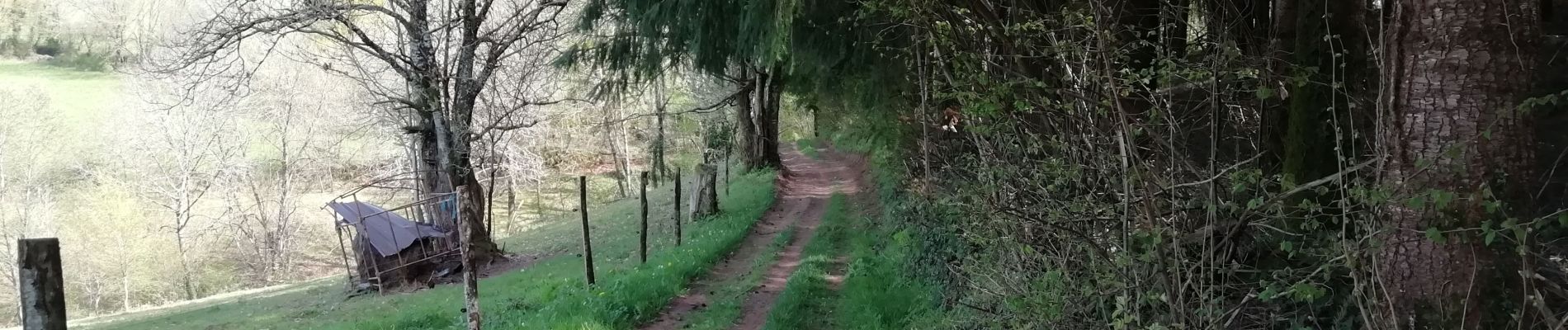 Tocht Mountainbike Sérilhac - LA BELLE RANDONNEE DE SERILHAC  - Photo