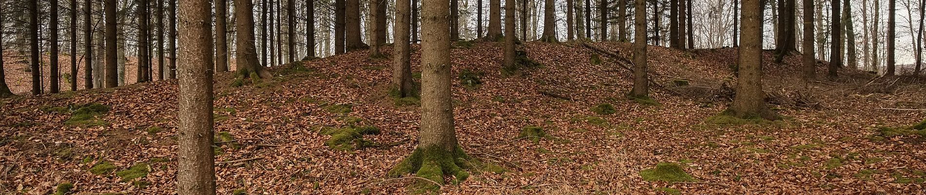 Excursión A pie Langenenslingen - Aeusserer Zugangsweg des Schwäbischen Albvereins (blaues Dreieck) - Photo