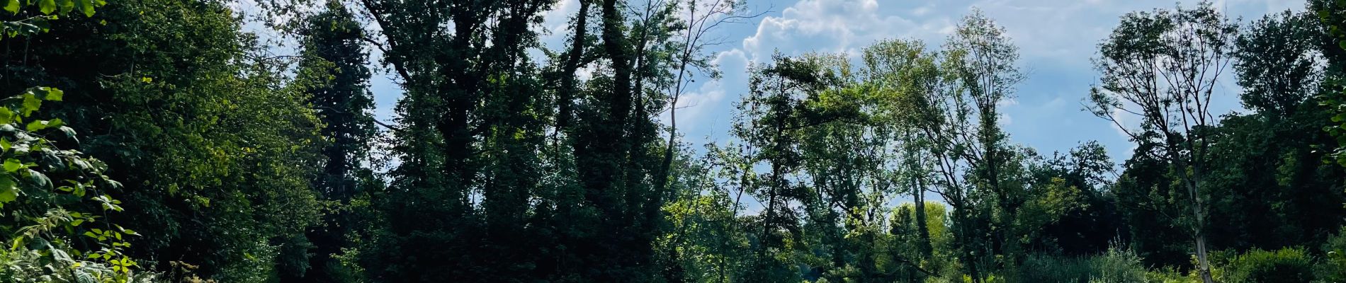 Tour Wandern Hoegaarden - Le bois de Meldert et son château à Hoegaarden - Photo