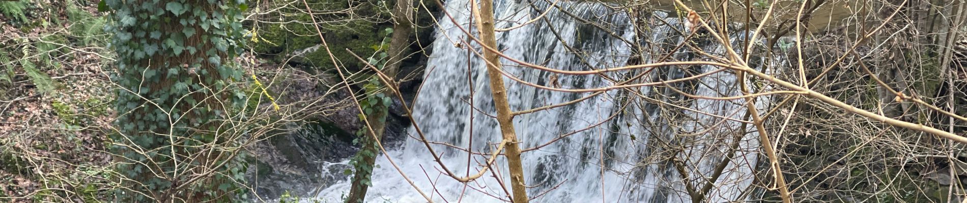 Trail Walking Chabanière - Les 3 cascades  - Photo