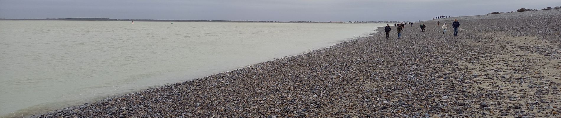 Randonnée Marche Cayeux-sur-Mer - Pointe du Hourdel (Baie de Somme) - Photo