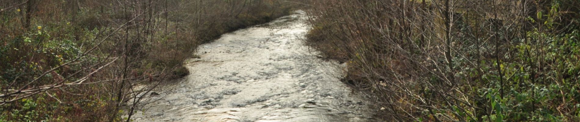 Tour Wandern Yvoir - Petite balade du Bocq au départ de Durnal - Photo