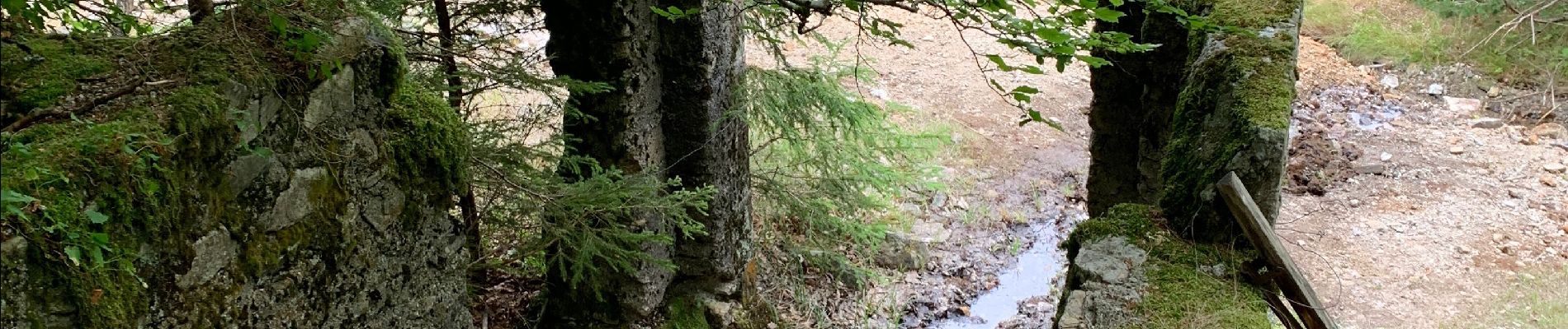 Trail Walking Saint-Sauveur-Camprieu - Col du Faubel  lac Camprieu Col du faubel - Photo