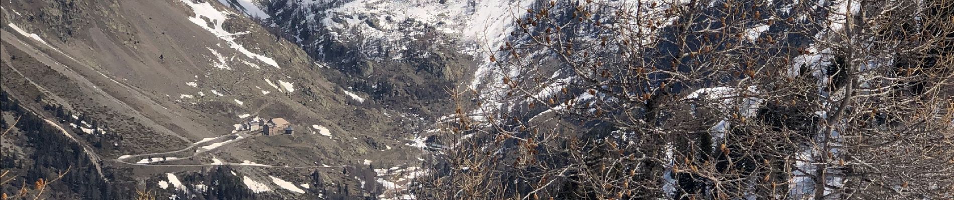 Tocht Sneeuwschoenen Belvédère - Baisse de Ferisson - Photo