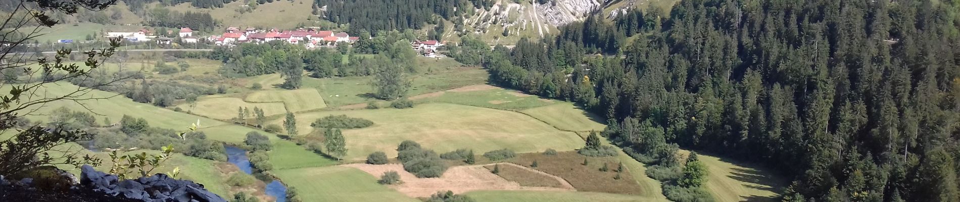 Randonnée Marche Granges-Narboz - Les Granges Dessus - belvédère sur le château de Joux  - Photo