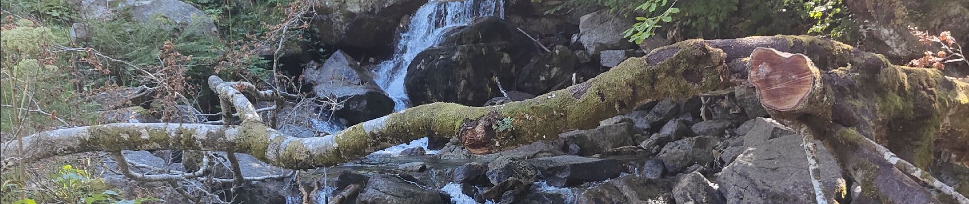 Tour Wandern Cauterets - Lac de Gaube et Gr 31 - Photo