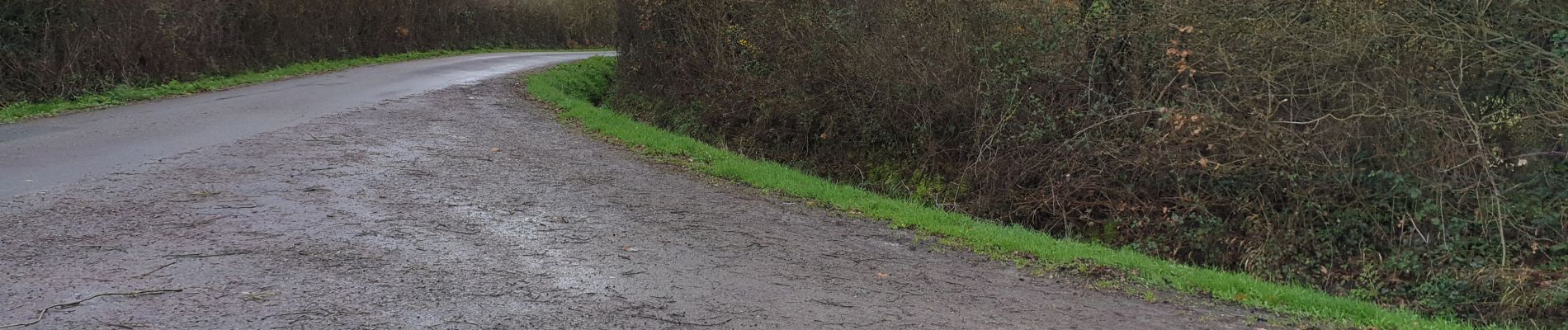 Tocht Stappen Saffré - grand lande - Photo