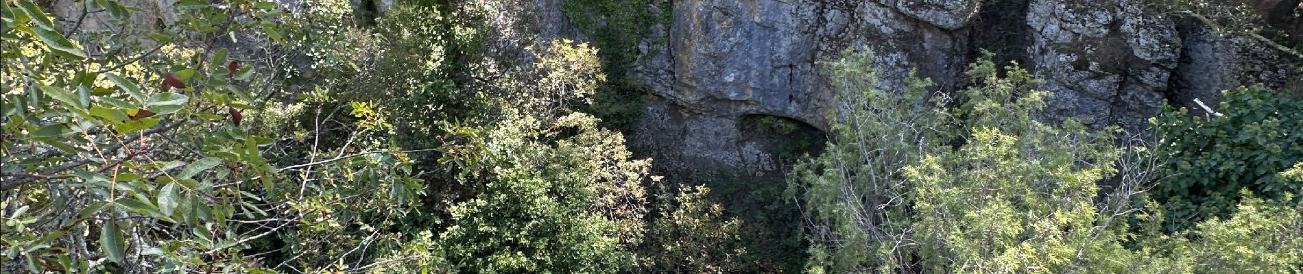 Excursión Senderismo Le Beausset - LES 4 FRÈRES - Photo