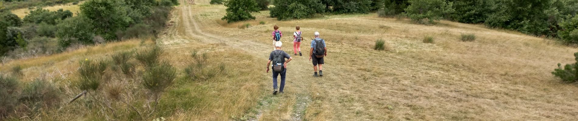 Tour Wandern Belvèze-du-Razès - Belvèze Sentier des vignerons - Photo