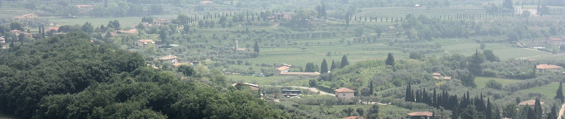 Tocht Te voet Bardolino - Garda - Dacia - Eremo dei Camaldolesi - Rocca Vecchia - Photo