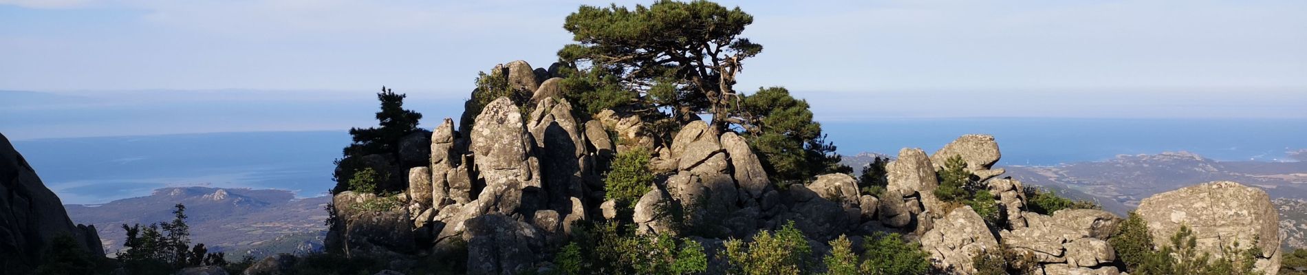 Tour Wandern Monacia-d'Aullène - omu di cagna, col du Monaco, omu d'ovace - Photo