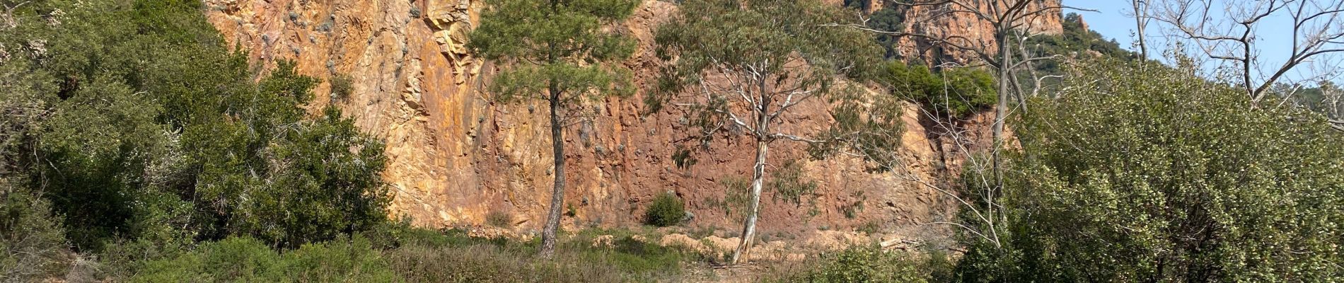 Excursión Bici de montaña Les Adrets-de-l'Estérel - Esterel 5 : Fait en 2022 des Adrets vers le pic de l’ours - Photo