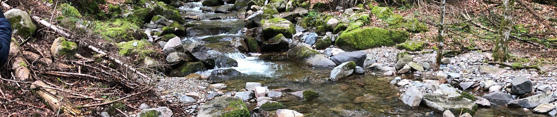 Tour Wandern Sondernach - Schnepfenried - Hahnenbrunen - Mittlach  - Photo