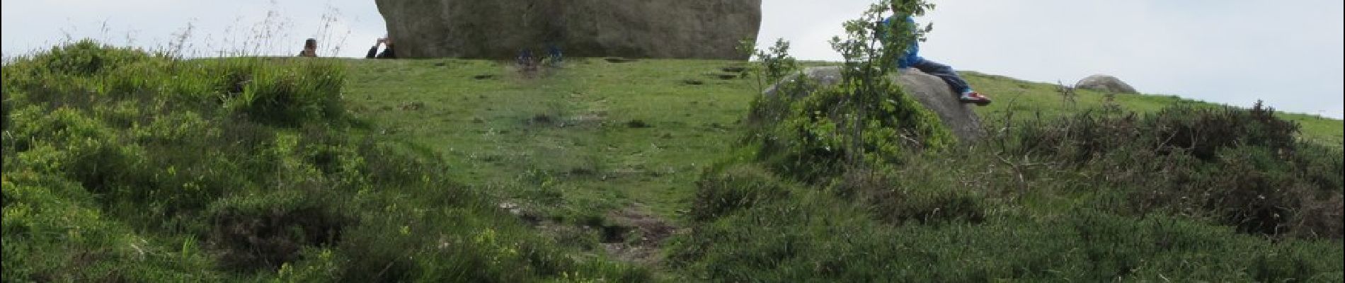 Percorso A piedi Sconosciuto - Rostrevor Forest - Slievemartin Trail - Photo