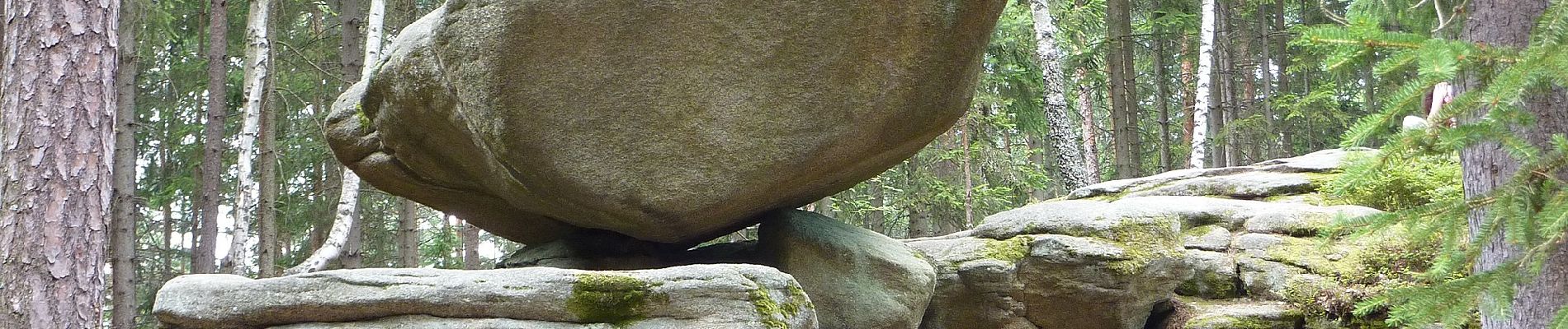 Percorso A piedi Gemeinde Heidenreichstein - Gemeindeteich - Photo