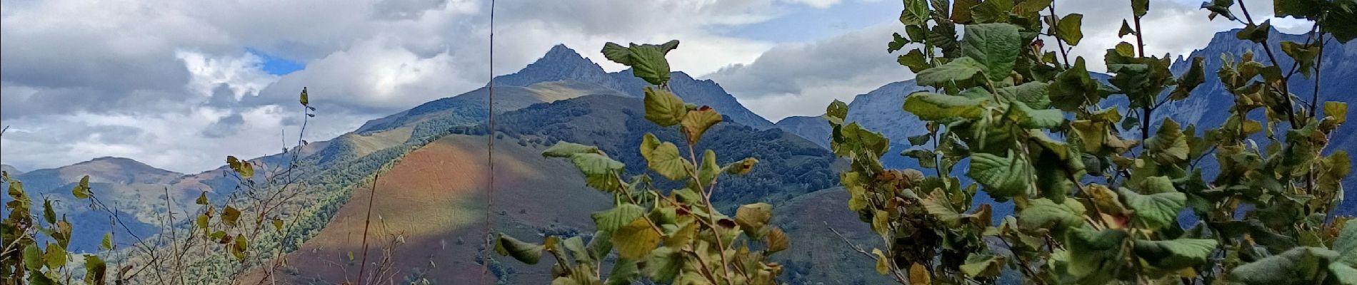 Tour Wandern Osse-en-Aspe - bedous osse en aspe - Photo