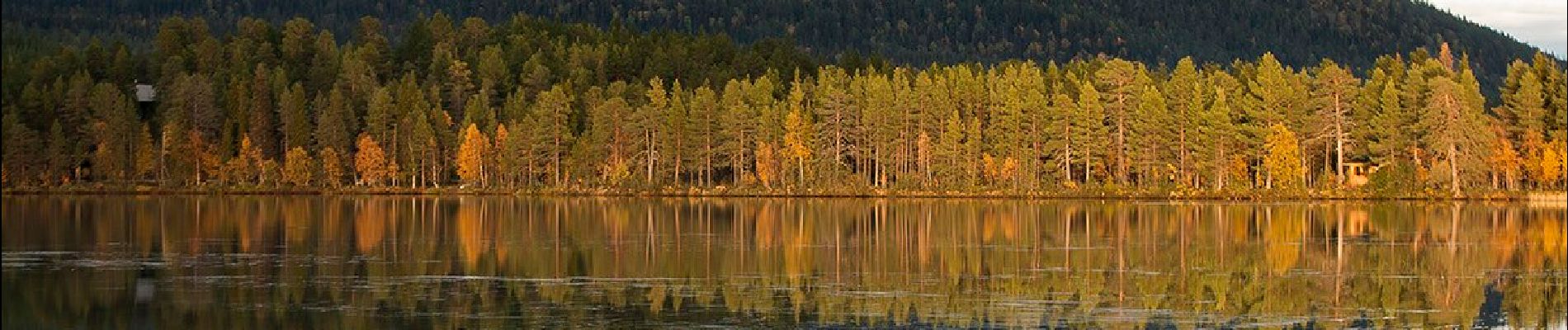 Tour Zu Fuß Kolari - Keskisenlaen kierros (