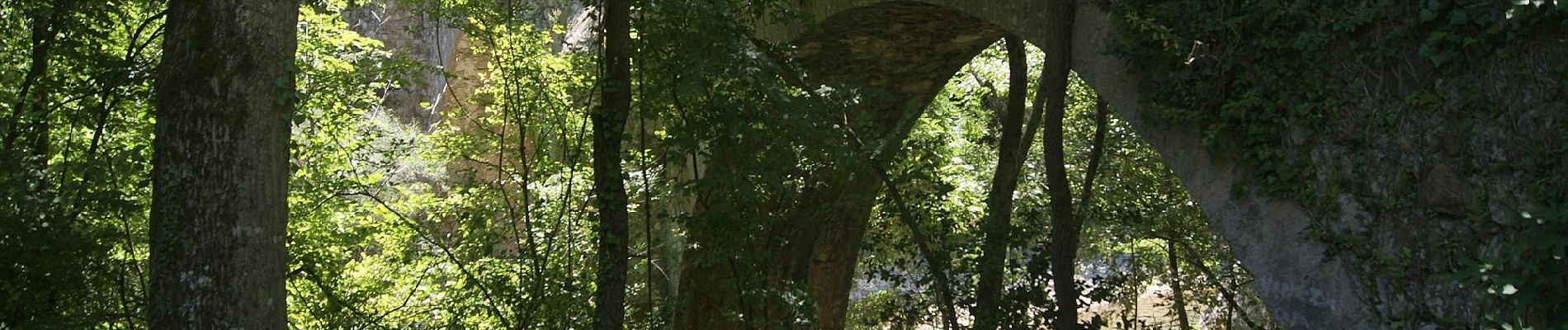 Randonnée A pied Sales de Llierca - L'Alta Garrotxa de Vayreda - Photo