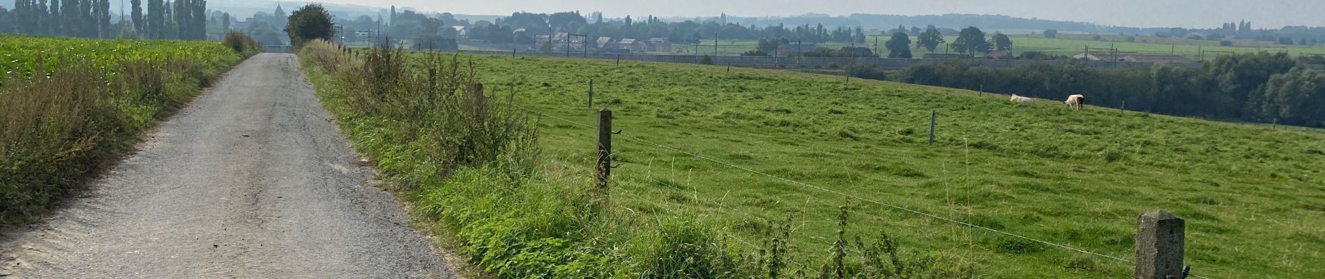 Tocht Stappen Aat - Gibecq - Photo