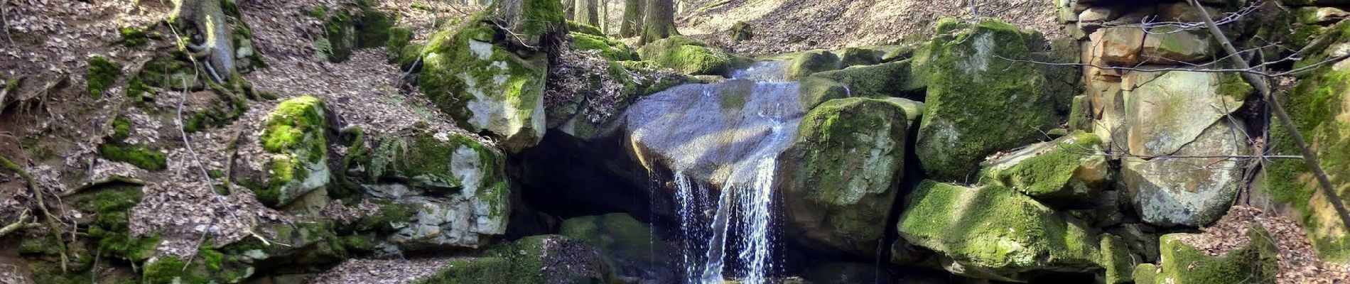 Percorso A piedi Hummeltal - Mistelbach Rundwanderweg 