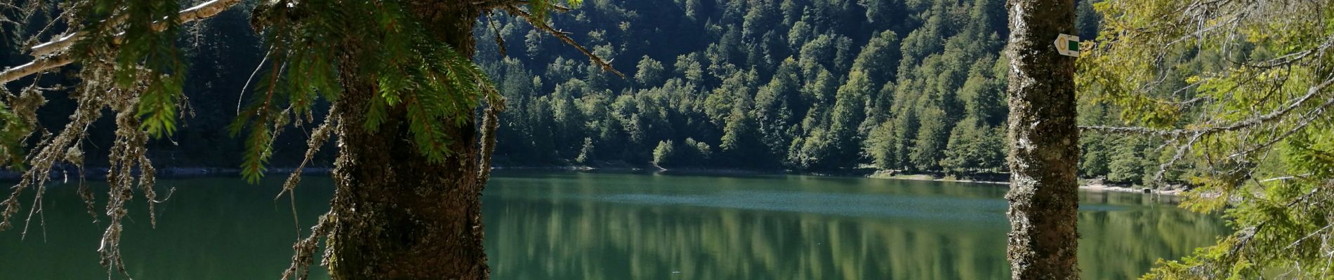 Randonnée Marche La Bresse - La Bresse - La des corbeaux - Photo