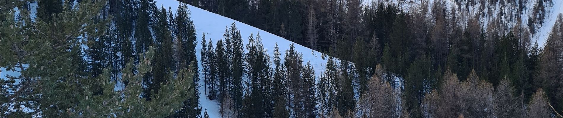 Tour Skiwanderen Ceillac - col albert tête de rissace - Photo