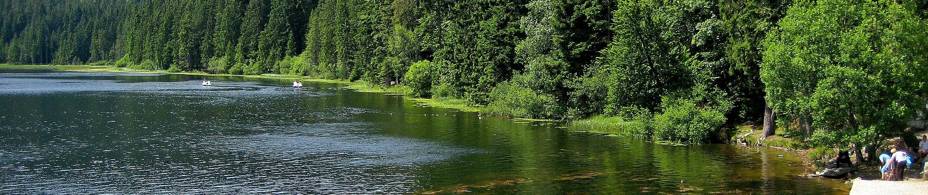 Tour Zu Fuß Bayerisch Eisenstein - 9 Bodenmais - Arbersee - Photo