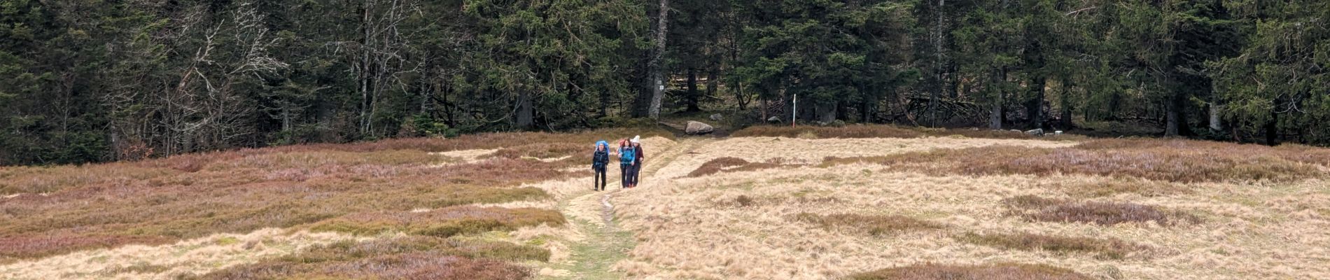 Tour Wandern Woll - 2023-04-15 Marche Abri Collet de Etang vers Abri Lac de Blanchemer - Photo