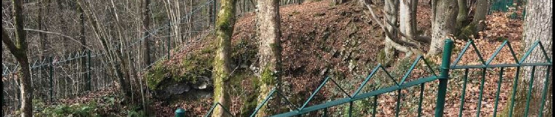 Point d'intérêt Marche-en-Famenne - Trotti aux Fosses - Photo