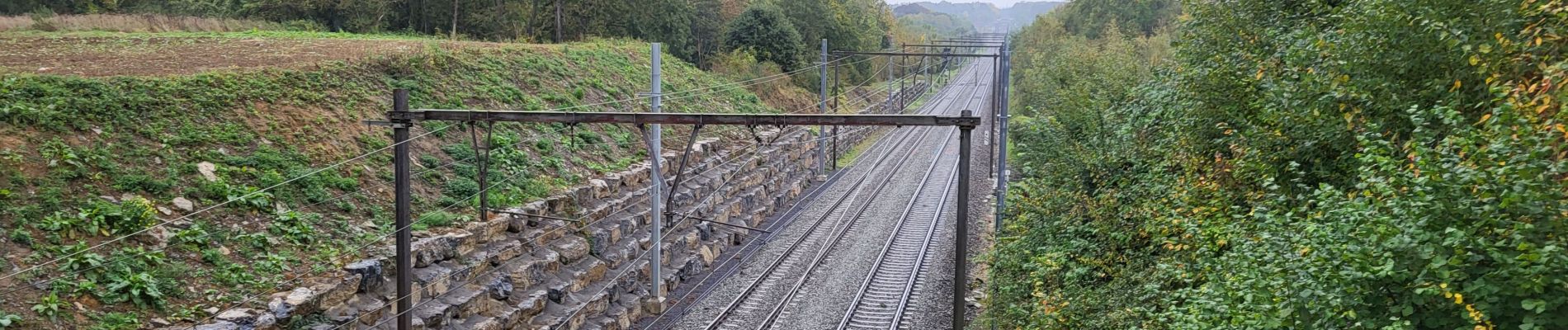 Excursión Senderismo La Bruyère - Rhisnes 121023 - Photo