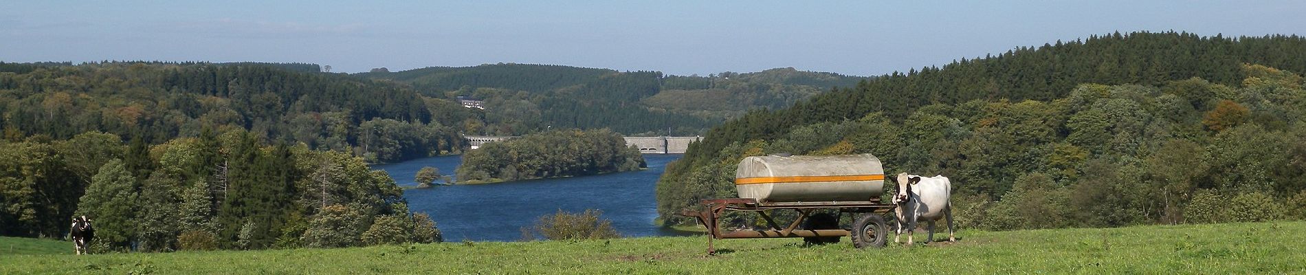 Tour Zu Fuß Radevormwald - Neuenhof Rundweg A3 - Photo