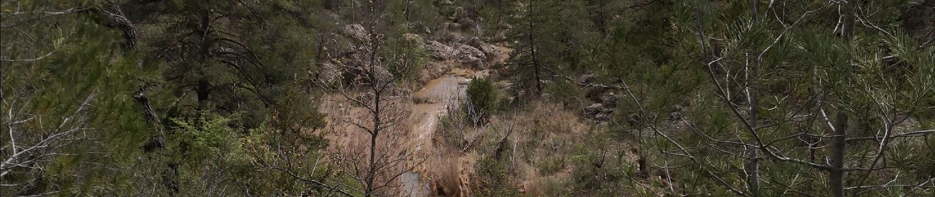 Trail Walking Corbières-en-Provence - Le Trou du loup et chapelle St Brice de Corbières  - Photo