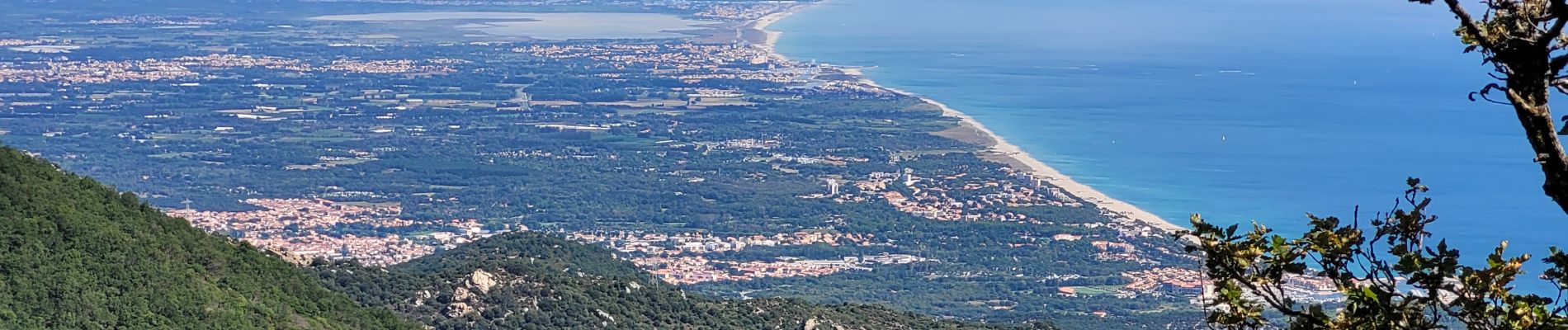 Tocht Stappen Collioure - El Rimbau Chemin de l'eau Massane_T - Photo