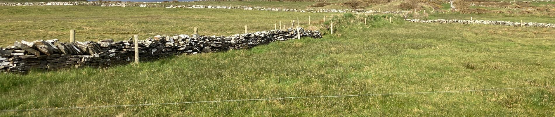 Tocht Stappen West Clare Municipal District - Cliffs of Moher - Photo