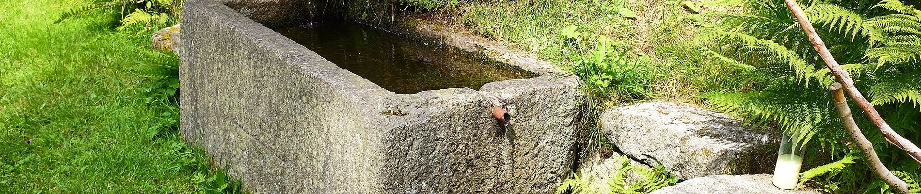 Percorso A piedi Potůčky - [Ž] Pernink - Nové Hamry - Photo