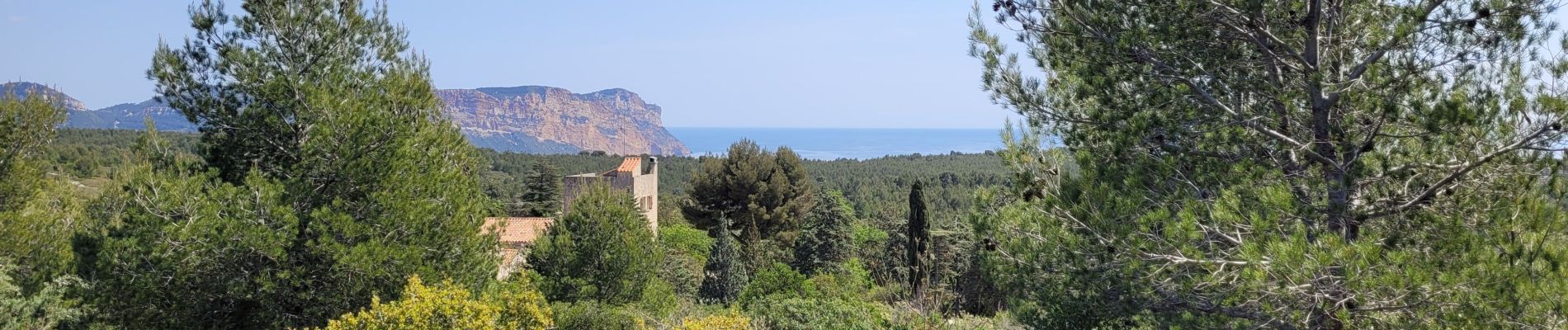 Randonnée Marche Cassis - Cassis Gorgue longue, le plan olive - Photo