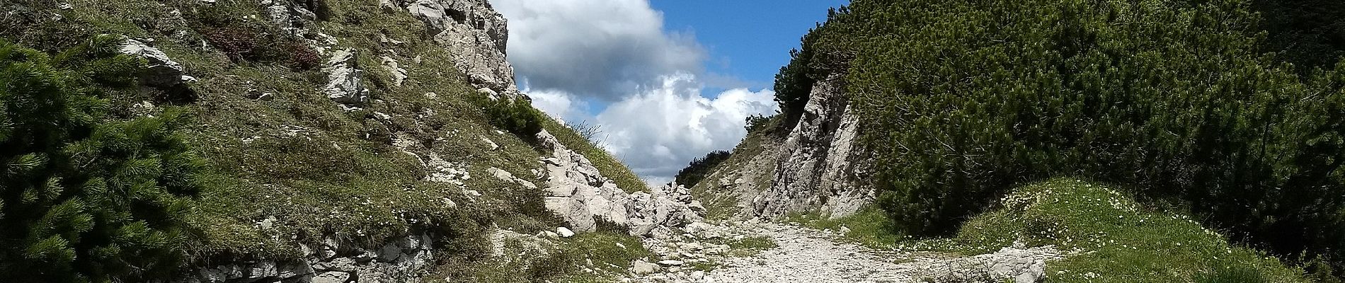 Tocht Te voet Magasa - Passo della Puria, Monte Caplone, incr. 444 - Photo